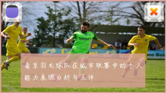 南京羽毛球队在城市联赛中的个人能力表现分析与点评