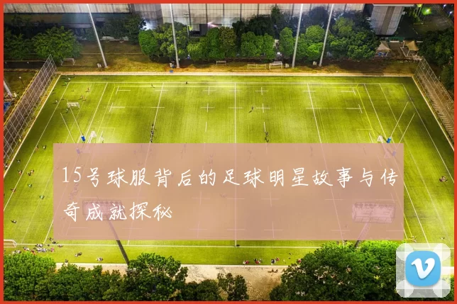 15号球服背后的足球明星故事与传奇成就探秘