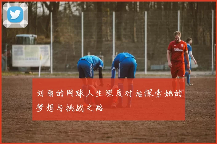 刘丽的网球人生深度对话探索她的梦想与挑战之路