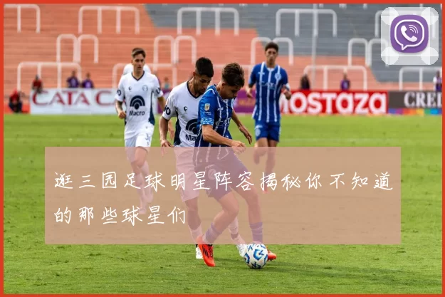 逛三园足球明星阵容揭秘你不知道的那些球星们