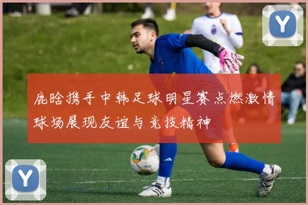 鹿晗携手中韩足球明星赛点燃激情球场展现友谊与竞技精神