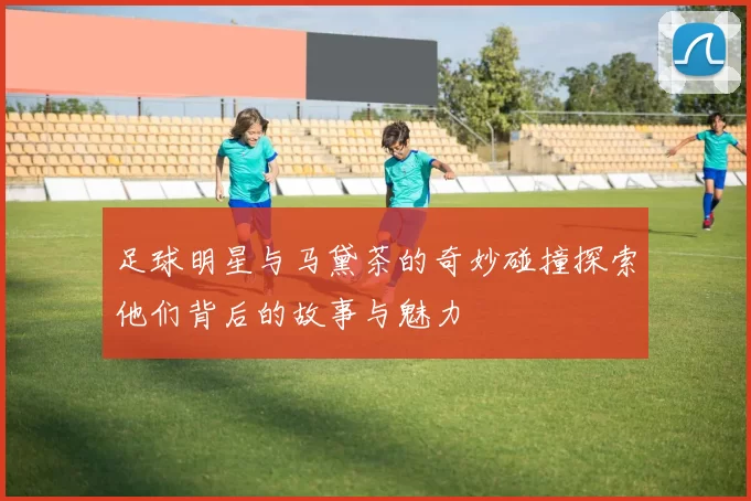 足球明星与马黛茶的奇妙碰撞探索他们背后的故事与魅力