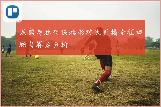 灰熊与独行侠精彩对决直播全程回顾与赛后分析