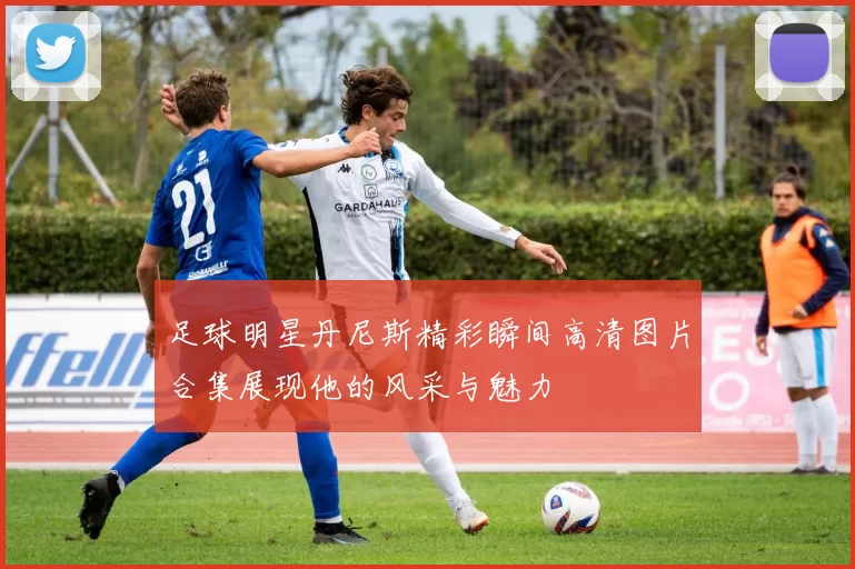 足球明星丹尼斯精彩瞬间高清图片合集展现他的风采与魅力