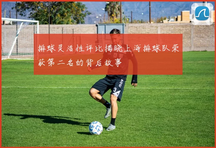 排球灵活性评比揭晓上海排球队荣获第二名的背后故事