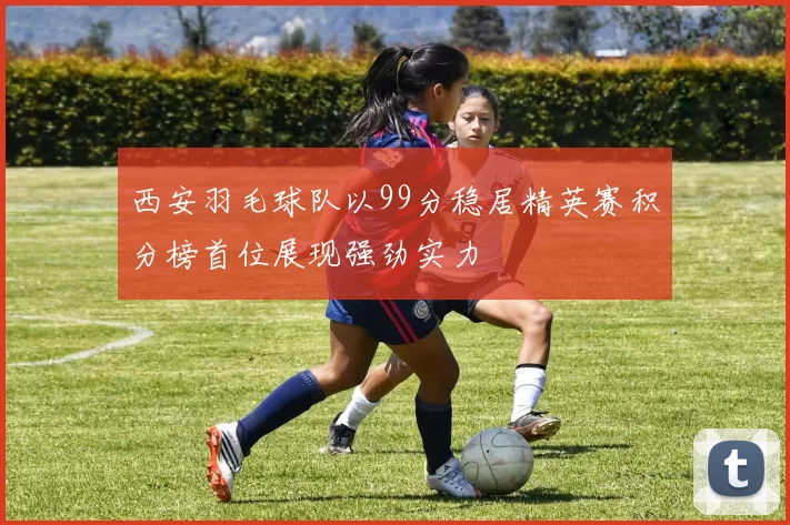 西安羽毛球队以99分稳居精英赛积分榜首位展现强劲实力