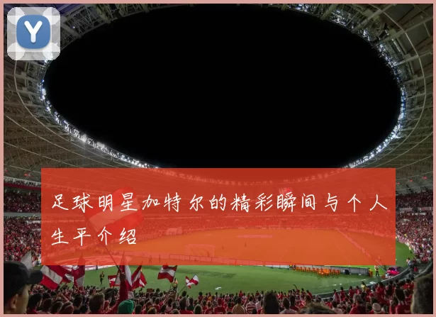 足球明星加特尔的精彩瞬间与个人生平介绍