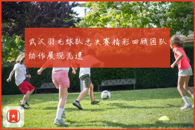 武汉羽毛球队总决赛精彩回顾团队协作展现无遗
