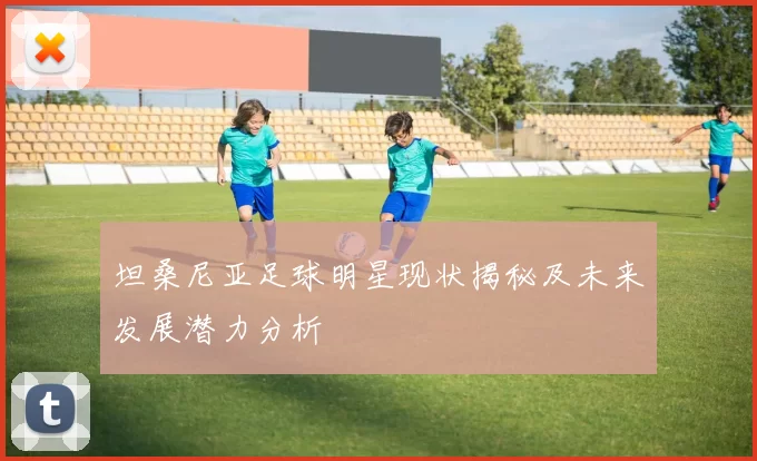 坦桑尼亚足球明星现状揭秘及未来发展潜力分析